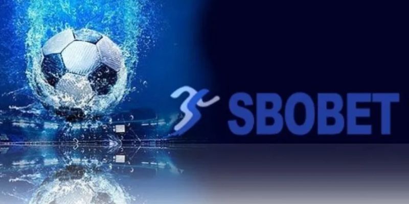 Chiến lược cá cược Sbobet